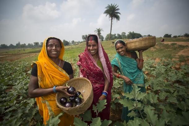 Livelihood